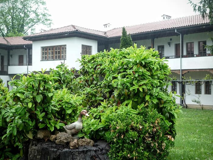 Bewaldete Hügel beim Kloster Sokolski