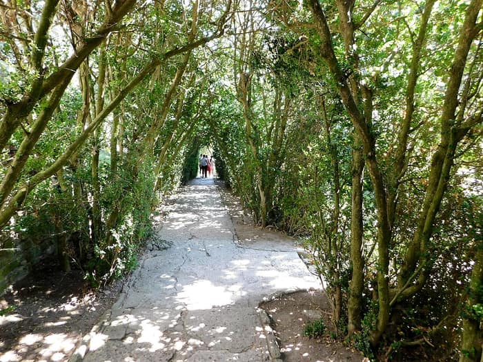 Grădina botanică din Balcic, prima perspectivă