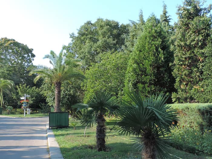Euxinograd, prima perspectivă suplimentară