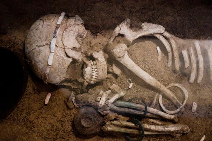 Schelet din necropola de la Durankulak, expus într-un muzeu din Sofia