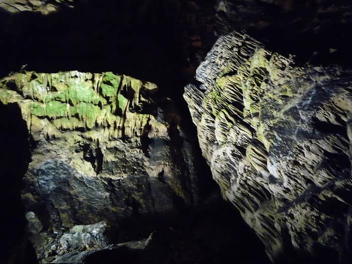 Stalagmitul „Bradul căzut” din Peștera Magura